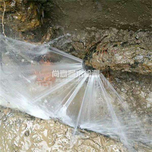 拖市镇消防管道漏水检测